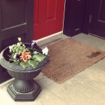 The urn right after I planted spring flowers a few weeks ago