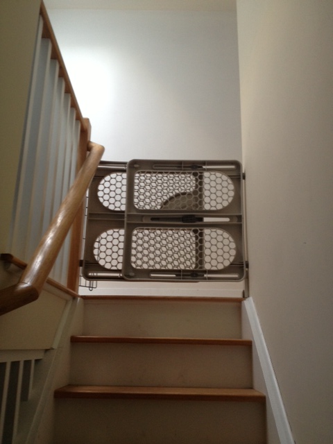 Baby gate at the top of the stairs